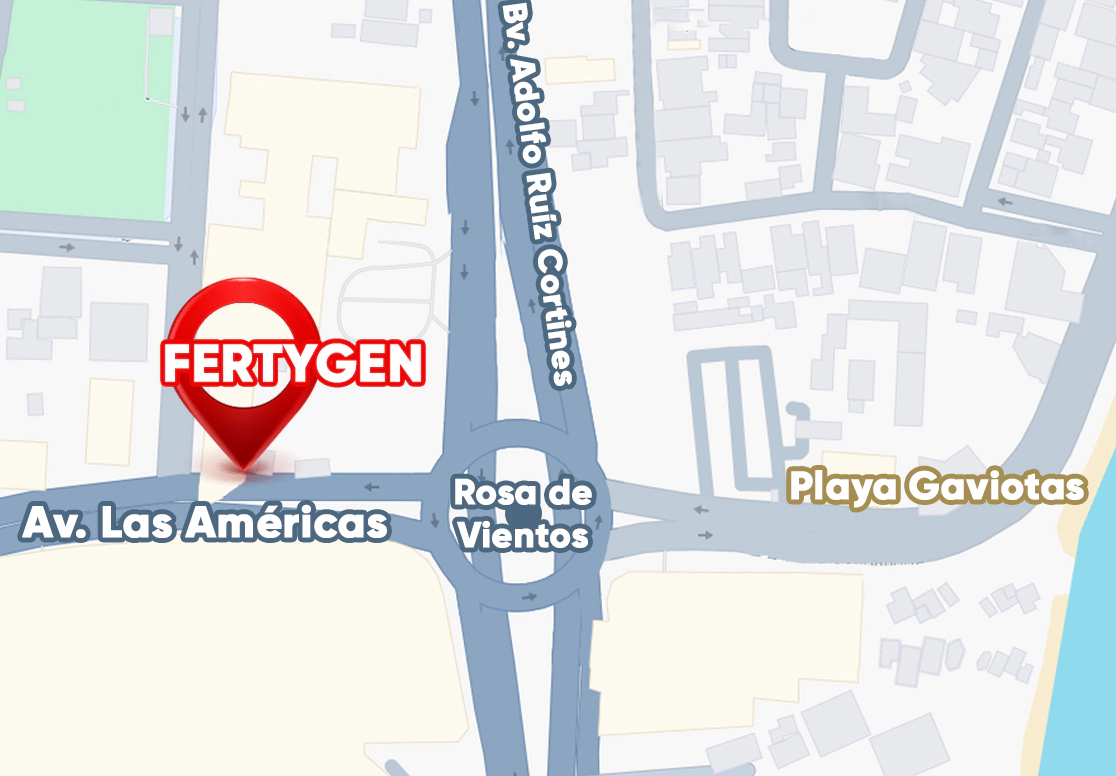 Mapa de la sucursal Veracruz